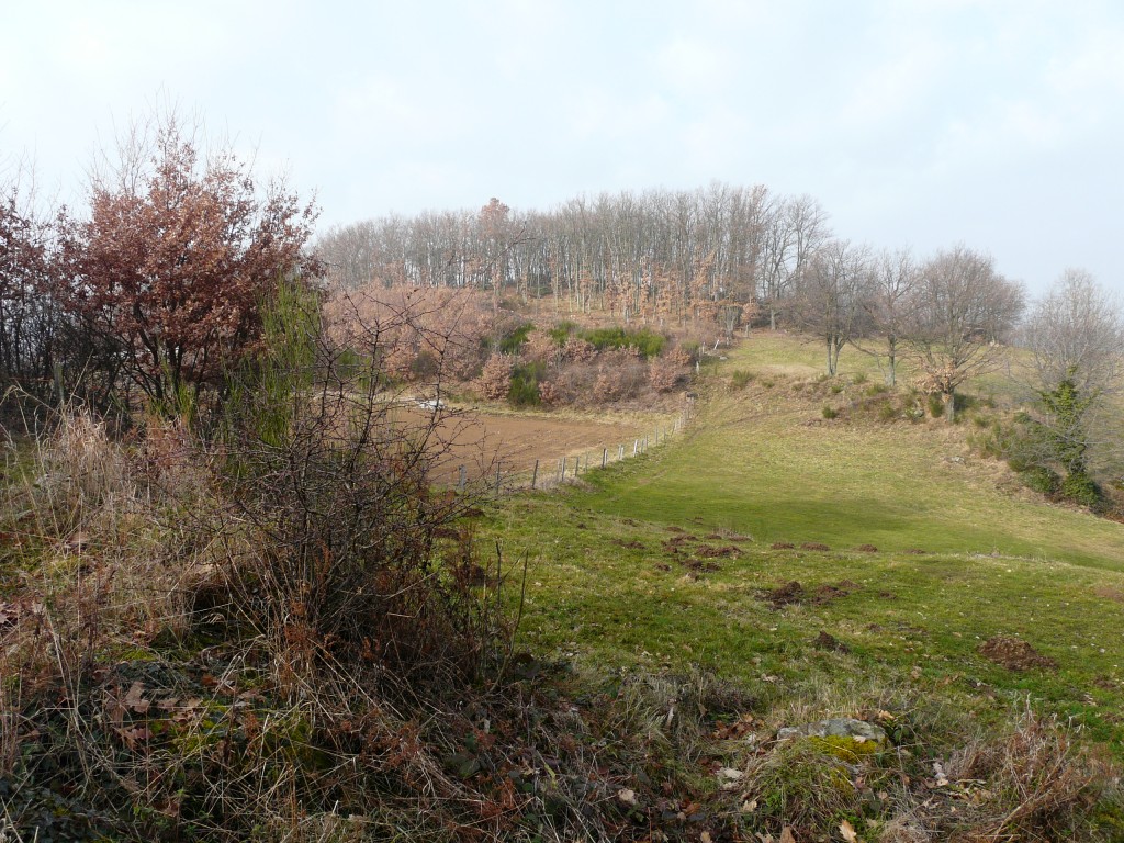 Rontalon, 01-02-09, 10-56.jpg